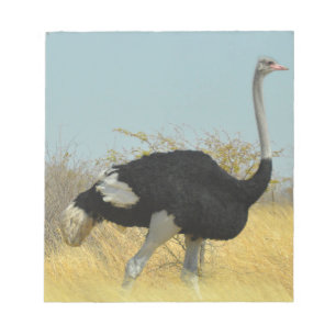 Bloco De Notas Ostrige para uma corrida