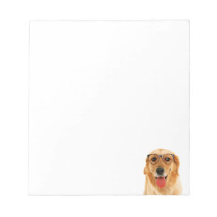 Bloco De Notas Ouro engraçado bonito, cão de varejo
