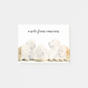 Bloco De Notas Ouro Labrador Puppie