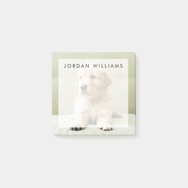 Bloco De Notas Ouro Retirado no Sofá (Frente)