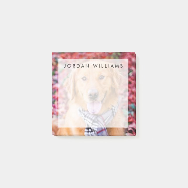 Bloco De Notas Ouro Retriever Em Scarf (Frente)