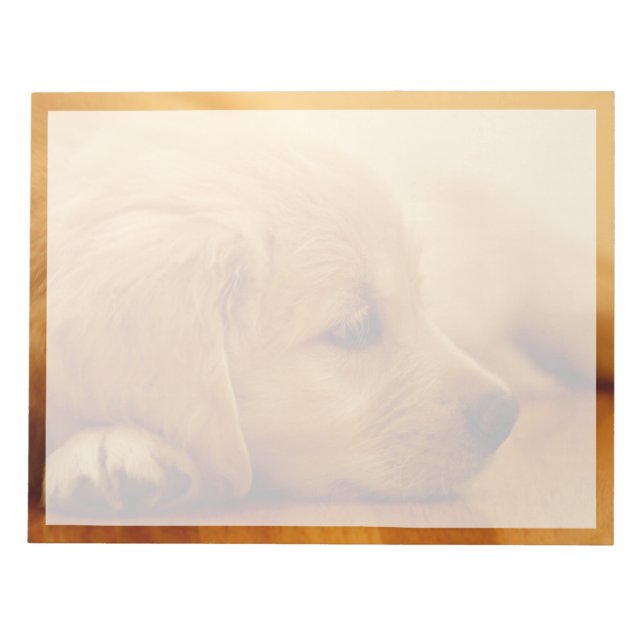Bloco De Notas Ouro Retriever Puppy (Frente)