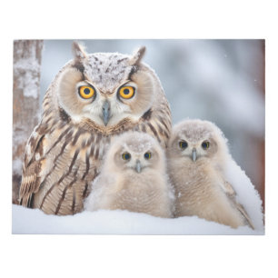Bloco De Notas Owl Animal Bird Liberdade Liberdade Natureza Amor