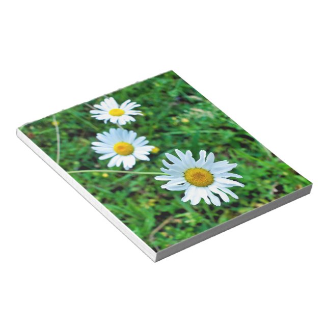 Bloco De Notas Ox-Eye Daisies (Inclinado)