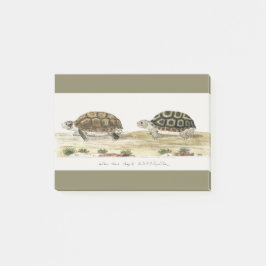 Bloco De Notas Padloper Tortoise