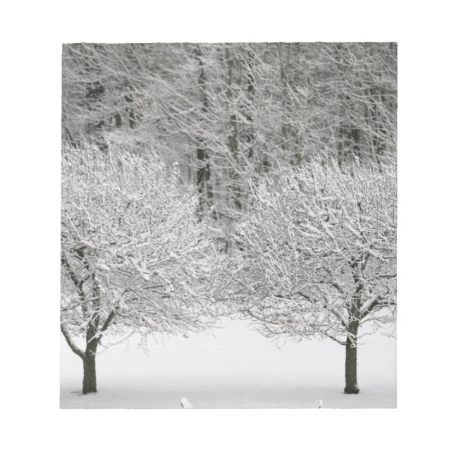 Bloco De Notas Paisagem coberta de neve (Frente)