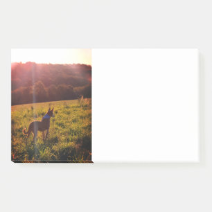Bloco De Notas Paisagem do Sol com Cão