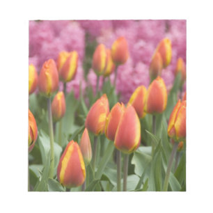 Bloco De Notas Países Baixos (t.c. Holanda), Lisse. Keukenhof