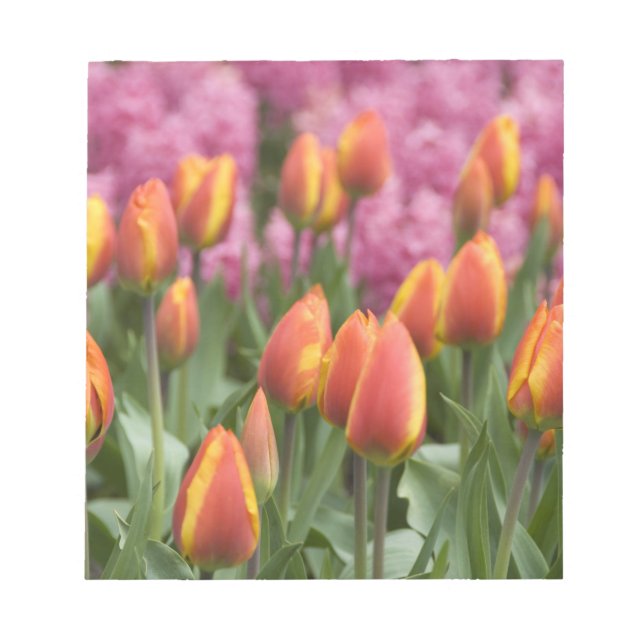 Bloco De Notas Países Baixos (t.c. Holanda), Lisse. Keukenhof (Frente)