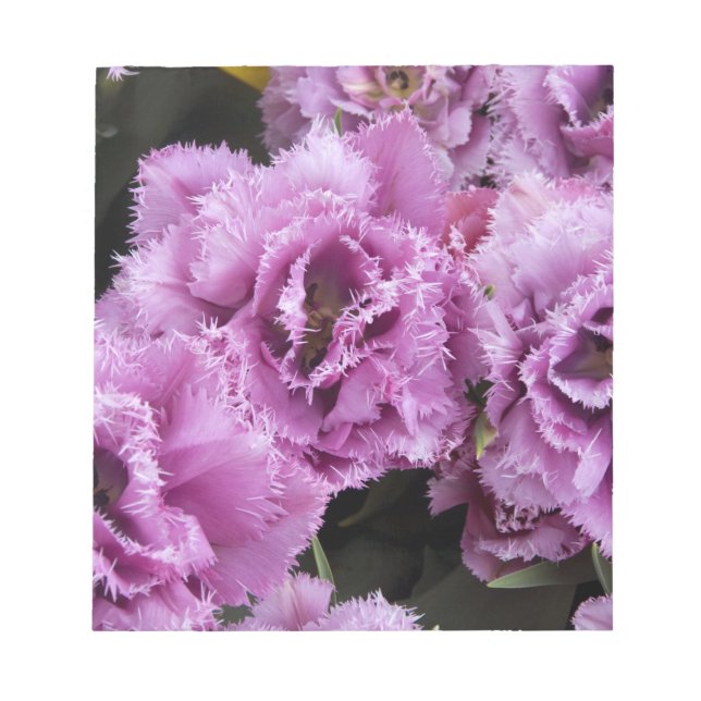 Bloco De Notas Países Baixos (t.c. Holanda), Lisse. Keukenhof 2 (Frente)