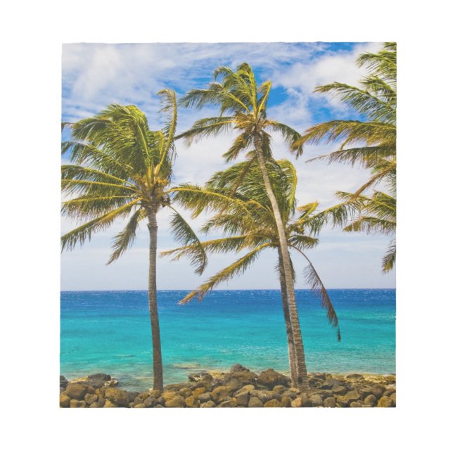 Bloco De Notas Palmeiras de coco (Cocos nucifera) a balançar (Frente)