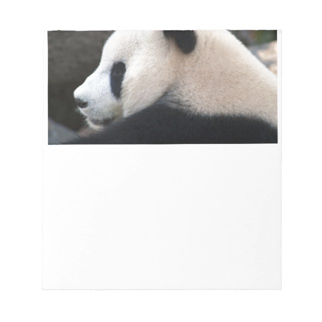 Bloco De Notas Panda Bear Hugs (Frente)