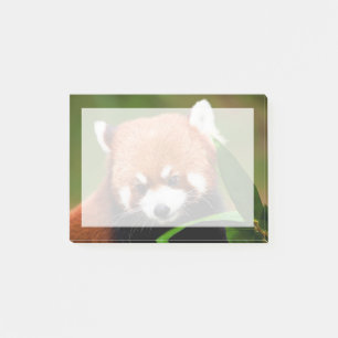 Bloco De Notas Panda Vermelho Fofo