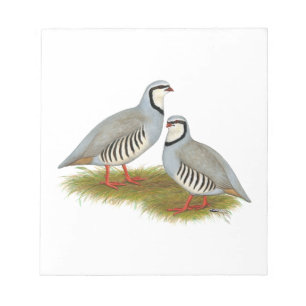 Bloco De Notas Par de Chukar Partridge