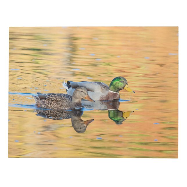 Bloco De Notas Par de Mallards (Frente)