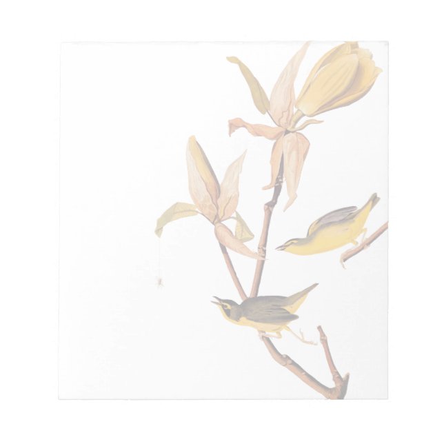 Bloco De Notas Par de passarinho do Kentucky - Audubon com aranha (Frente)