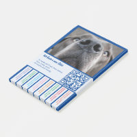 Para vender cachorros Dane coloridos