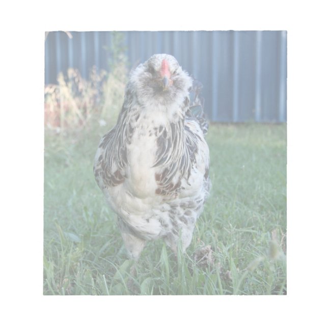 Bloco De Notas Páscoa Egger Rooster (Frente)