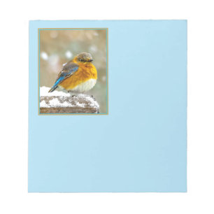 Bloco De Notas Pássaro-azul-do-leste na Neve - Fotografia Origina