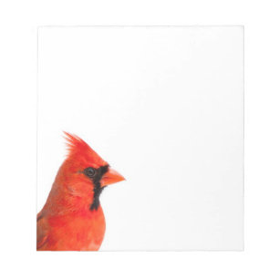 Bloco De Notas Pássaro cardinal