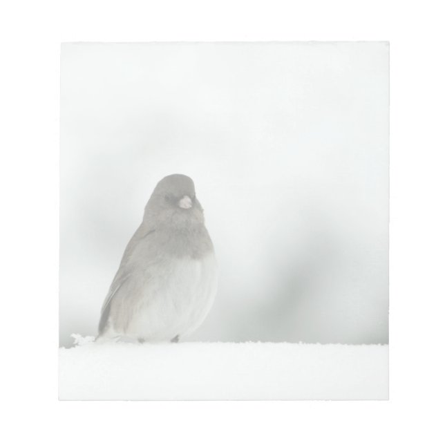 Bloco De Notas Pássaro de inverno (Frente)