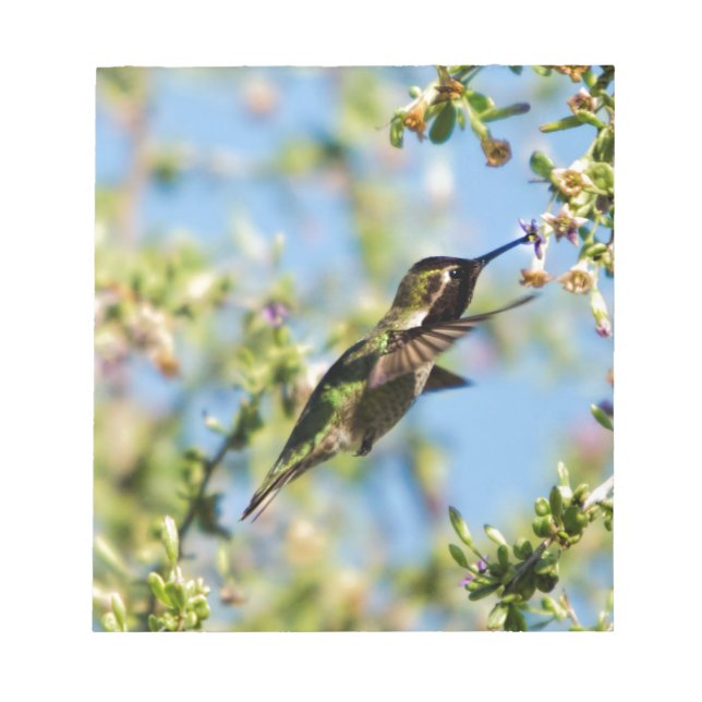 Bloco De Notas Pássaro Humming (Frente)