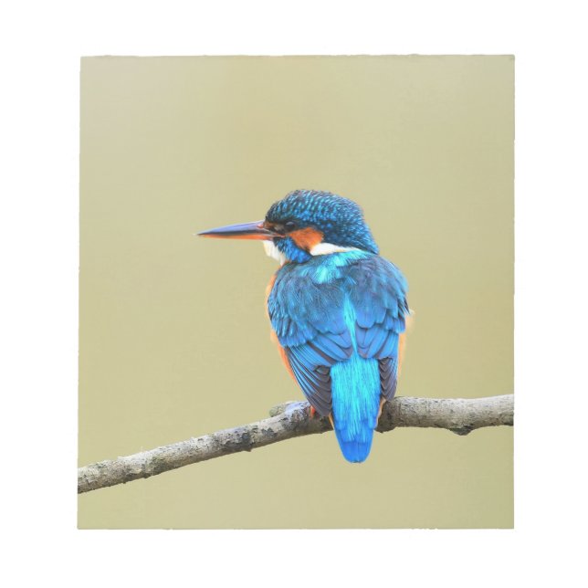 Bloco De Notas Pássaro Kingfisher Azul (Frente)