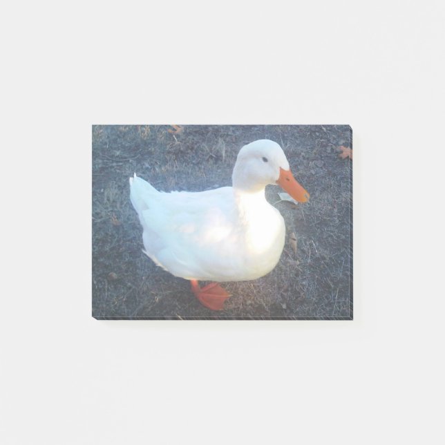 Bloco De Notas Pato (Frente)