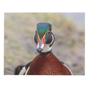 Bloco De Notas Pato de Madeira