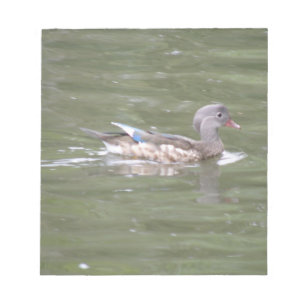 Bloco De Notas Pato no lago Notepad
