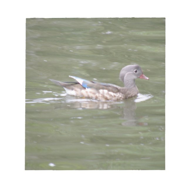 Bloco De Notas Pato no lago Notepad (Frente)