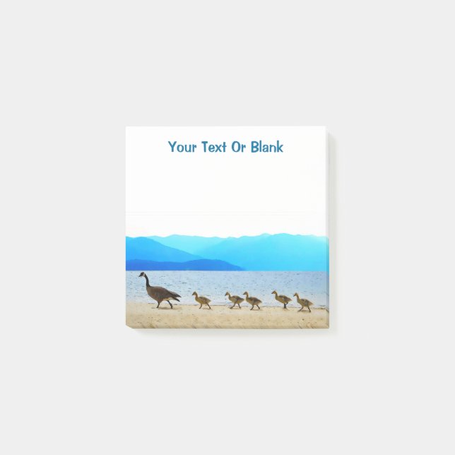 Bloco De Notas Patrulha de Shore - Canadá Geese (Frente)