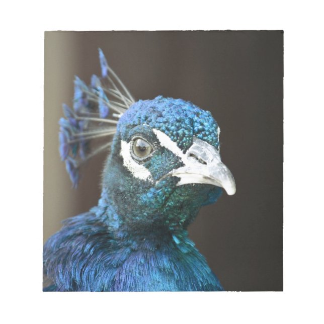 Bloco De Notas pavão (Frente)