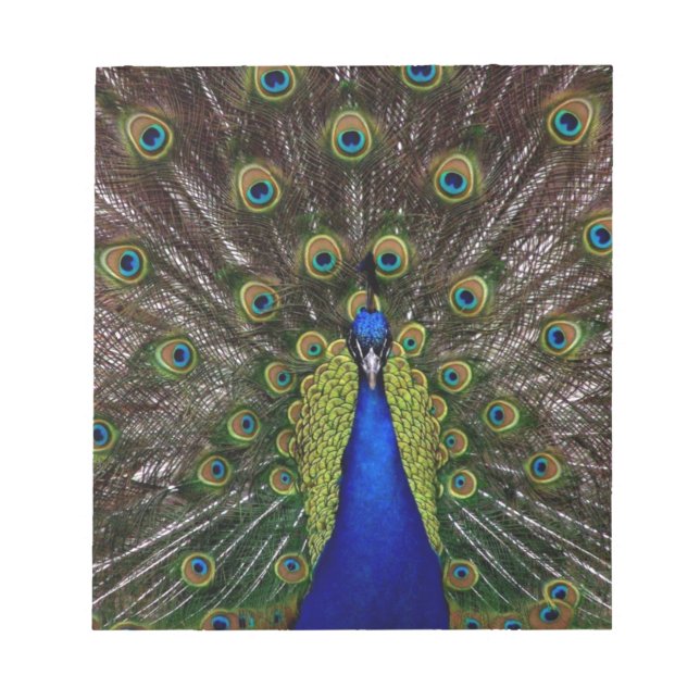 Bloco De Notas Peacock (Frente)