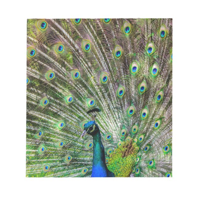 Bloco De Notas Peacock (Frente)