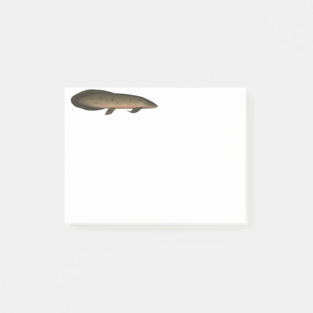 Bloco De Notas Peixe-pulmão australiano (Frente)