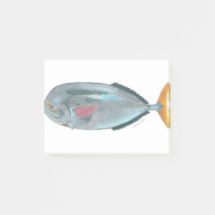 Bloco De Notas peixes louvar