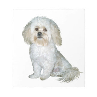 Bloco De Notas Pekkapoo (Peek-a-Poo)