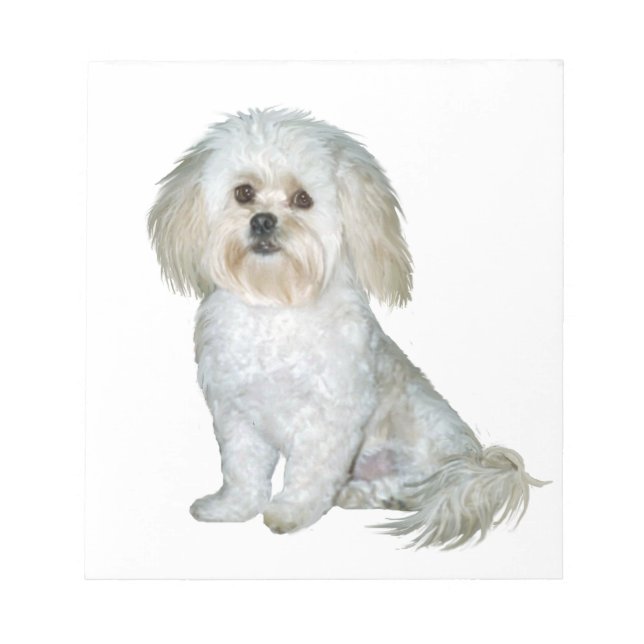 Bloco De Notas Pekkapoo (Peek-a-Poo) (Frente)