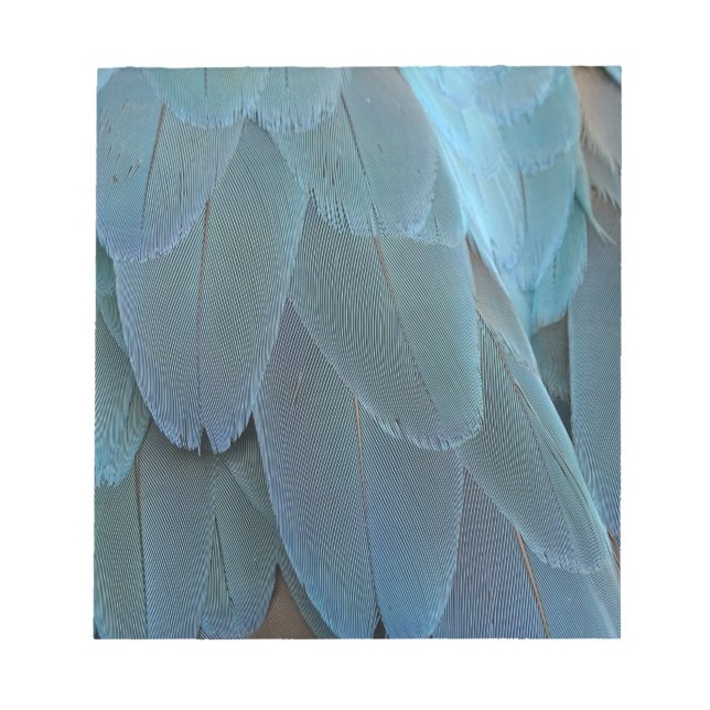 Bloco De Notas Pena Azul (Frente)