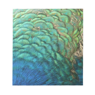 Bloco De Notas Penas de Pavão I Desenho Abstrato Colorido da Natu