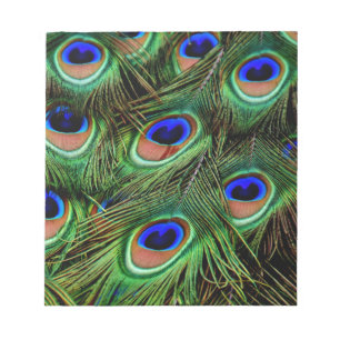 Bloco De Notas Penas de Peacock