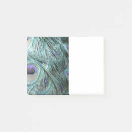 Bloco De Notas penas do pavão