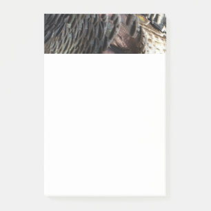 Bloco De Notas Penas Selvagens Turcas I Abstrato Nature Design