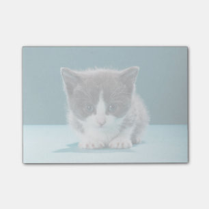Bloco De Notas Pequena Gatinha