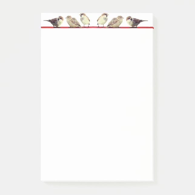 Bloco De Notas Pequenos pássaros lindos (Frente)