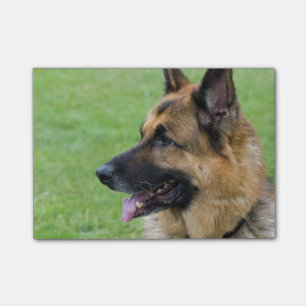 Bloco De Notas Perfil do german shepherd