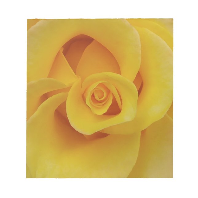 Bloco De Notas Pétalas de Rosa Amarelas Românticas (Frente)