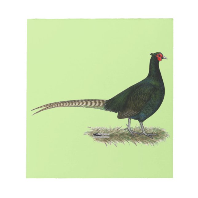 Bloco De Notas Pheasant Black Rooster (Frente)
