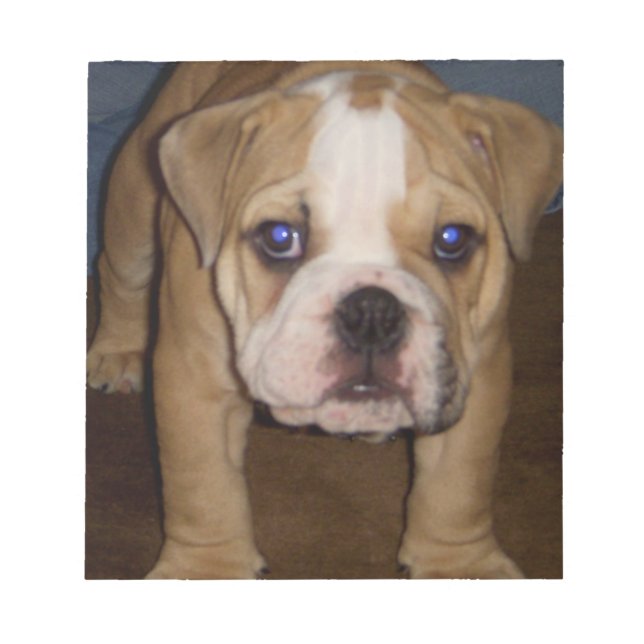 Bloco De Notas Photo Te, Mplate Notepad (Frente)